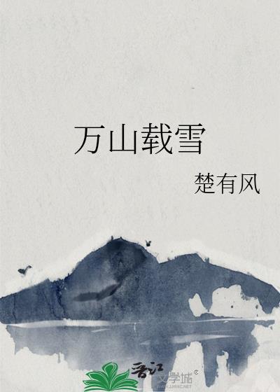 万山载雪百度