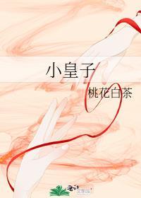 小皇子今天被灭国了吗