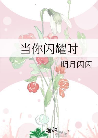 当你闪耀时书包网