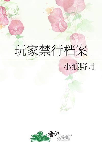 玩家档案的英文