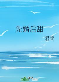 先婚后爱甜文推荐