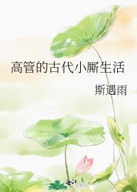 高管的古代小厮生活好看嘛