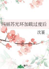 玛丽苏光环夺回计划_风禅