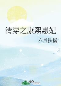 清穿之康熙惠妃六月扶摇免费阅读笔趣