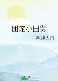 团宠小国舅笔趣阁TXT