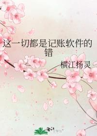 这一切都是记账软件的错 横江扬灵
