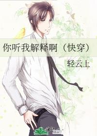 你听我解释第13章