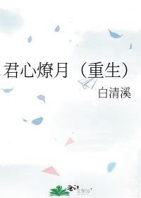 君心燎月(重生) 晋江
