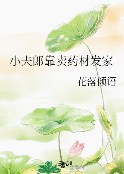 小夫郎靠卖药材发家txt