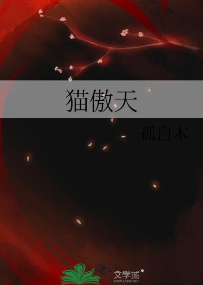 猫傲天11级配装详细介绍