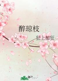 醉琼枝全文无弹窗笔趣阁