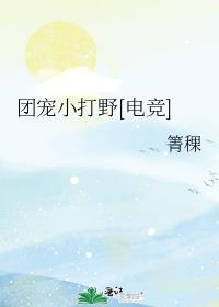团宠小打野电竞百度