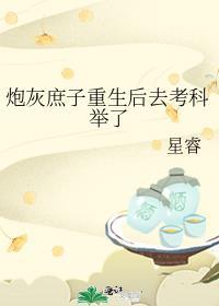 炮灰庶子重生后去考科举了TXT
