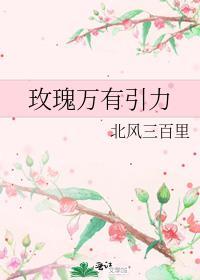 万有引力浪漫