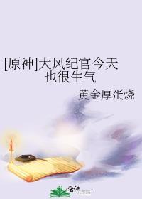 大风纪官什么意思