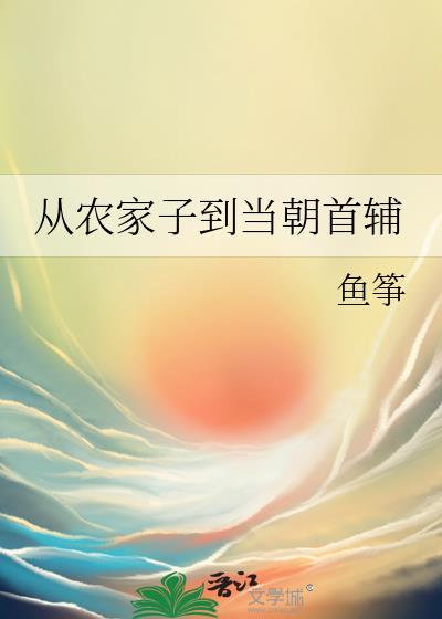 从农家子到当朝首辅赵丰年