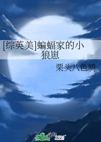 蝙蝠家的崽走丢了格格党