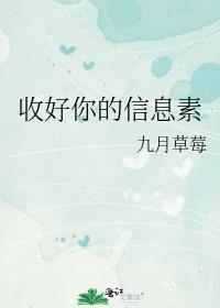 收好你的信息素谁是攻