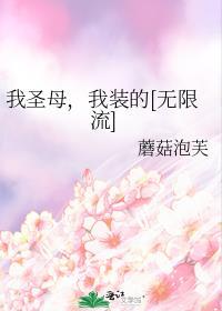 找装圣母的