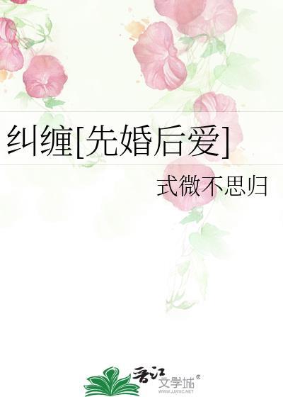 纠缠讲的是什么