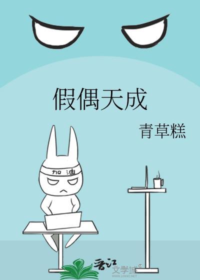 假偶天成简介