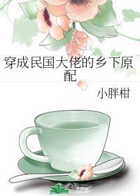穿成民国大佬的乡下原配结局怎么样