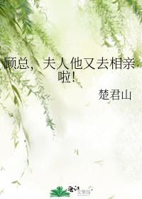 顾夫人他又要离婚