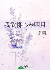 欲将我心寄明月下一句