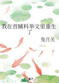 我在首辅科举文里重生了兔月关