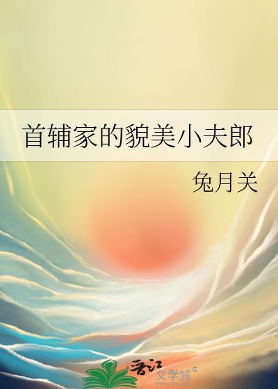 首辅家的小夫郎女尊