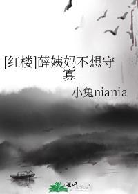 红楼梦中薛姨妈住在哪里