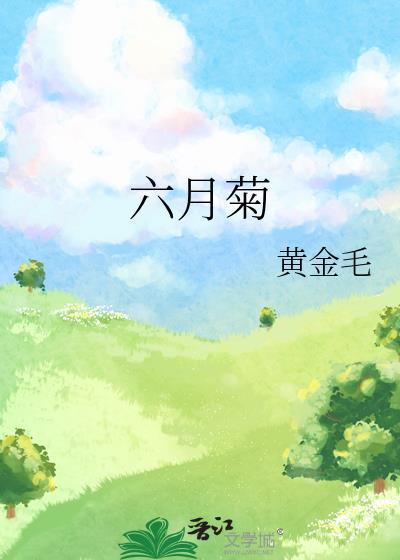 六月菊花的功效和图片