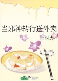 引导者是什么