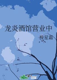 龙炎电子商务有限公司