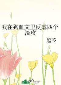 香克斯实战