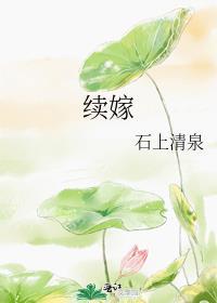 续嫁免费阅读