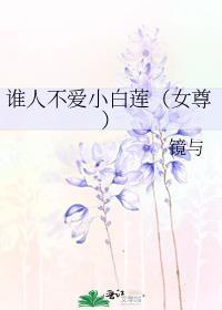 谁人不爱小白莲(女尊)番外