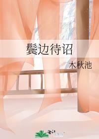 鬓边待诏 txt