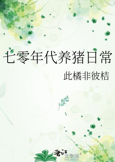 七十年代养家记