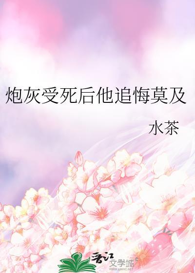 炮灰受准备离婚了讲的什么