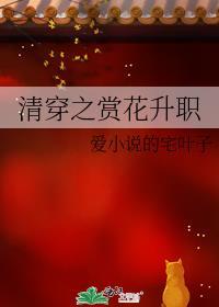 清穿之餐花饮露在线阅读