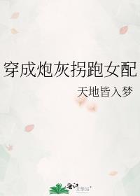 穿成炮灰女配怎么办