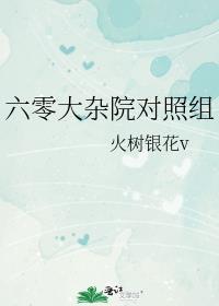 六零大杂院对照组txt