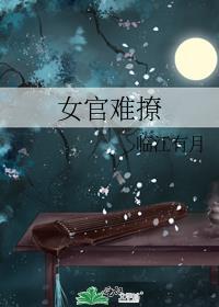 女官男主是谁