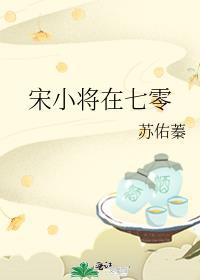 宋小将在七零全文免费阅读