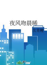 夜风吻晨晞作者沈青鲤