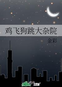 鸡飞狗跳大杂院免费阅读晋江