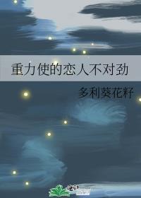 重力被 知乎
