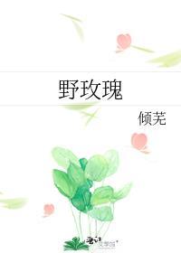 野玫瑰歌曲