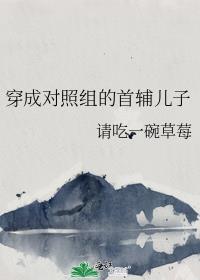 穿成首辅的对照组夫人